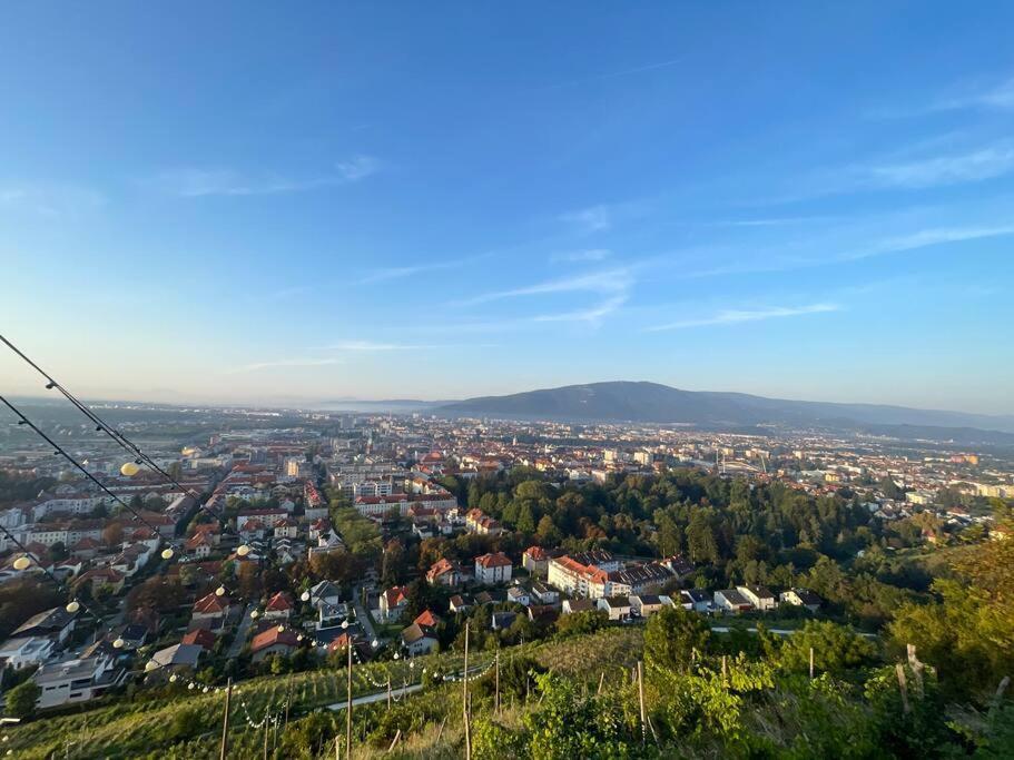 Studio With A View On City Center Park Maribor Zewnętrze zdjęcie